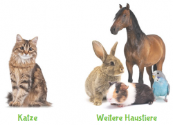 Alternativmedizin für Haustiere