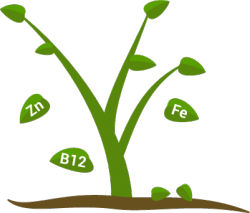 Potentielle Mangel-Erscheinungen bei Vegetariern und Veganern