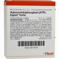 Adenosintriphosphat (atp)- Injeel Forte Ampullen 10 Stück