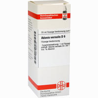 Adonis Vernalis D6 Dilution 20 ml