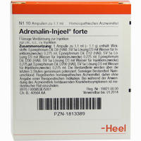 Adrenalin- Injeel Forte Ampullen 10 Stück