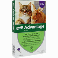 Advantage 80mg für Große Katzen und Große Zierkaninchen Lösung 4 x 0.8 ml