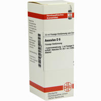 Aesculus D6 Dilution 20 ml