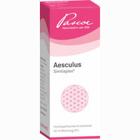Aesculus Similiaplex Tropfen 50 ml