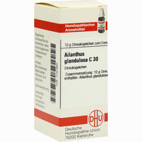 Ailanthus Gland C30 Globuli 10 g