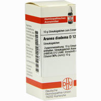 Aranea Diadema D12 Globuli 10 g