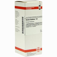 Aranea Diadema D4 Dilution 50 ml