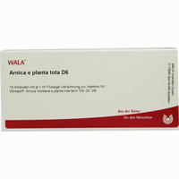 Arnica E Planta Tota D6 Ampullen 10 x 1 ml