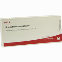 Arnica/plumbum Mellitum Ampullen 10 x 1 ml