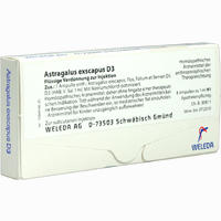 Astragalus Exscapus D3 Ampullen 8 x 1 ml