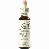 Bach- Blüte Chestnut Bud Tropfen 20 ml