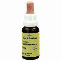 Bachblüten Murnauer Tropfen Holly 20 ml