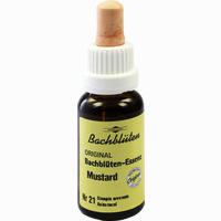 Bachblüten Murnauer Tropfen Mustard 20 ml
