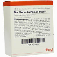 Bacillinum Humanum- Injeel Ampullen 10 Stück