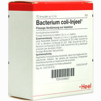Bacterium Coli- Injeel Ampullen 10 Stück