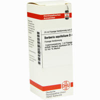Berberis Aquif D4 Dilution 20 ml