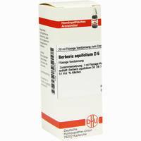 Berberis Aquif D6 Dilution 20 ml