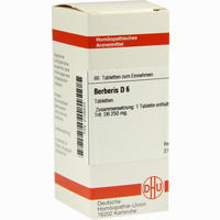 Berberis D6 Tabletten 80 Stück