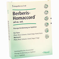 Berberis- Homaccord Ad Us. Vet. Ampullen 5 x 5 ml