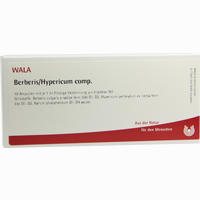 Berberis Hypericum Comp Ampullen 10 x 1 ml