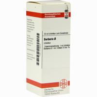 Berberis Urtinktur D 1 Dilution 20 ml