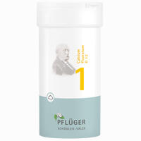 Biochemie Pflüger Nr. 1 Calcium Fluoratum D12 Pulver 100 g