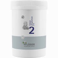 Biochemie Pflüger Nr. 2 Calcium Phosphoricum D6 Tabletten 4000 Stück