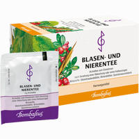 Blasen- und Nierentee Filterbeutel 20 x 2 g