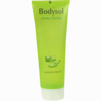 Bodysol Aroma- Duschgel Ginkgo- Limette 250 ml