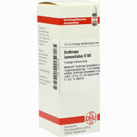 Bothrops Lanceolat D60 Dilution 20 ml
