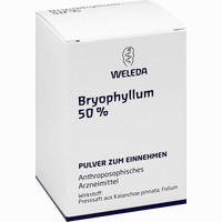 Bryophyllum 50% Pulver 50 g