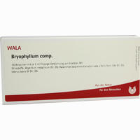 Bryophyllum Comp Ampullen 10 x 1 ml