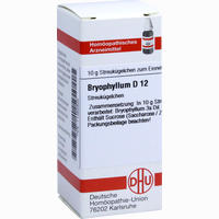Bryophyllum D12 Globuli 10 g
