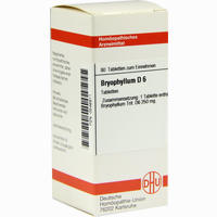 Bryophyllum D6 Tabletten 80 Stück