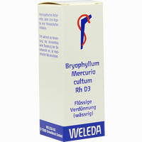 Bryophyllum Merc Cu Rh D3 Dilution 20 ml