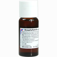 Bryophyllum Urtinktur Dilution 50 ml