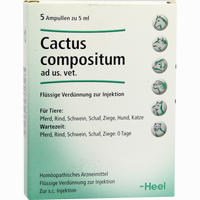 Cactus Comp Vet Ampullen 5 Stück