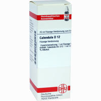 Calendula D12 Dilution 20 ml