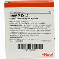 Camp D12 Ampullen 10 Stück