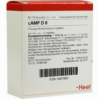 Camp D8 Ampullen 10 Stück