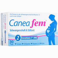 Abbildung von Caneafem 2 Extrafolate- S + Dha Kapseln 2 x 30 Stück