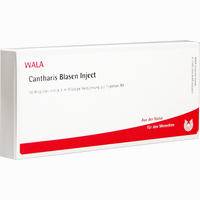 Cantharis Blasen Inject Ampullen 10 x 1 ml