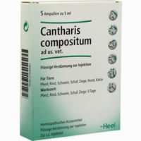 Cantharis Comp Vet Ampullen 5 Stück