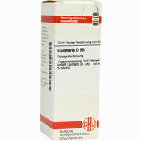 Cantharis D30 Dilution 20 ml