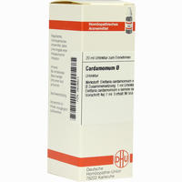 Cardamomum Urtinktur D 1 Dilution 20 ml
