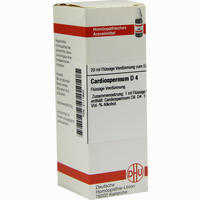 Cardiospermum D4 Dilution 20 ml