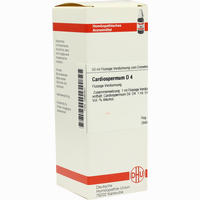 Cardiospermum D4 Dilution 50 ml