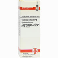 Cardiospermum D6 Dilution 20 ml