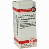Cardiospermum D6 Globuli 10 g