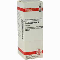 Cardiospermum Urtinktur Dilution 20 ml